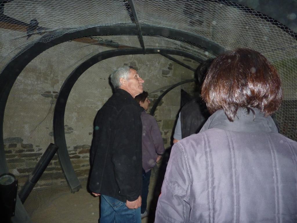 Sortie annuelle 2016